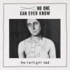 Twilight Sad – No One Can Ever Know: Avance