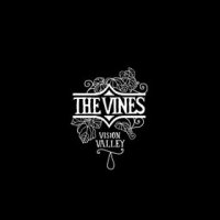 the vines vision valley album review