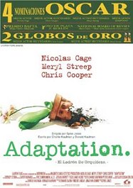 adaptation critica poster