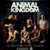 Animal Kingdom – Adolescencia en una familia criminal