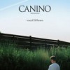 Canino (2009) de Giorgios Lanthimos