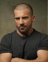 dominic purcell biografia biography movies peliculas fotos images pictures