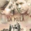 Tráiler: La Mula – Mario Casas – Animal En La Guerra Civil: trailer
