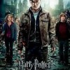 Harry Potter y Las Reliquias De La Muerte: Parte 2 (2011) de David Yates