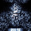 Pulse (2006) de Jim Sonzero
