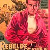 Rebelde Sin Causa (1955) de Nicholas Ray