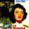 La Senda De Los Elefantes (1954) de William Dieterle