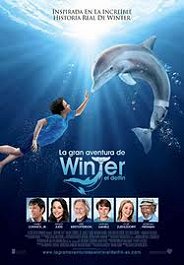 la gran aventura de winter el delfin cartel poster