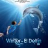 La Gran Aventura de Winter El Delfín – Tráiler: trailer