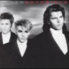 ¿Qué discos son recomendados de Duran Duran?