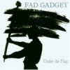 ¿Qué discos recomendados tiene Fad Gadget?