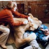 ¿Cómo se llama la película sobre una familia que convive con leones y no es “Nacida Libre”?