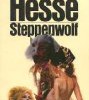 ¿A quién se refiere Hesse en El Lobo Estepario como el autor de los estudios?