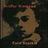 ¿Qué libros hay sobre la relación ente Arthur Rimbaud y Paul Verlaine?