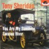 ¿En dónde puedo encontrar canciones de Tony Sheridan?